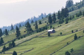 Biotermelő lesz a Gyimes-völgye