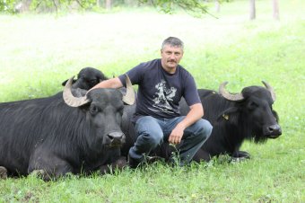 Piacos székely gazdák