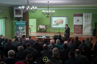 A mangalica és a lúdtartás reneszánsza
