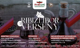 Nemzetközi ribizliborversenyt szerveznek Csíkmadarason