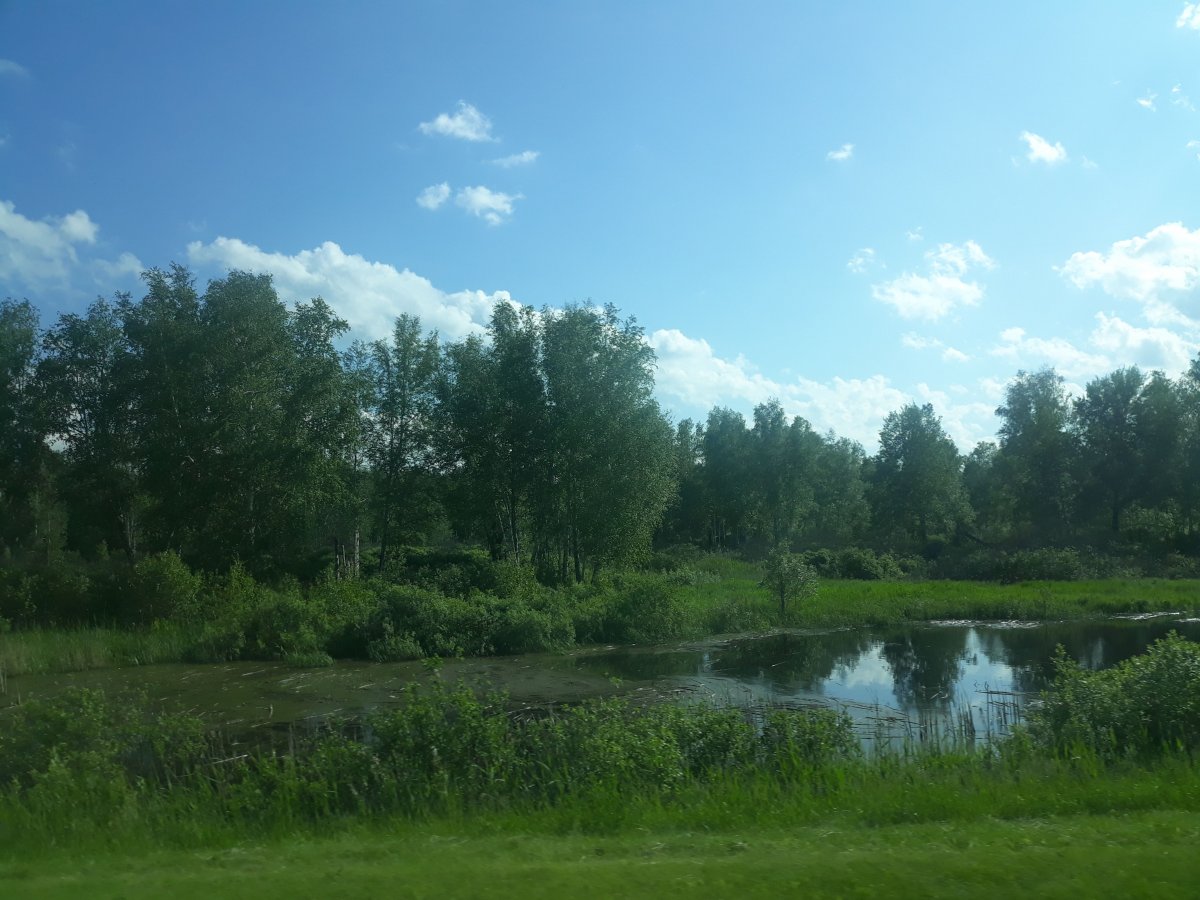 Jellegzetes szibériai táj &bullet;  Fotó: László Zoltán