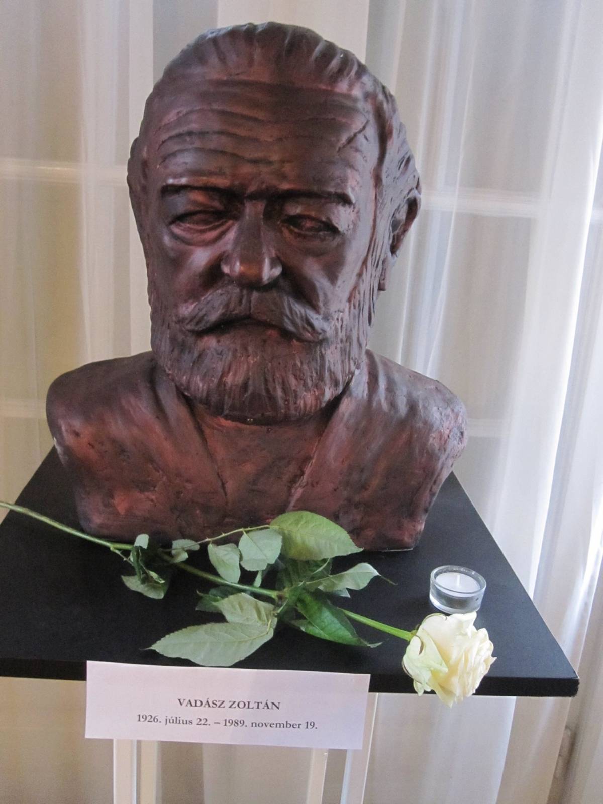 Vadász Zoltán mellszobra, Vadász Emese alkotása 