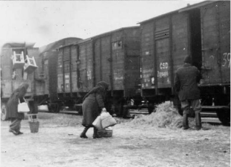 Marhavagonokban zárt magyar deportáltak. A szlovák politikusokat sérti a múlt felemlegetése 