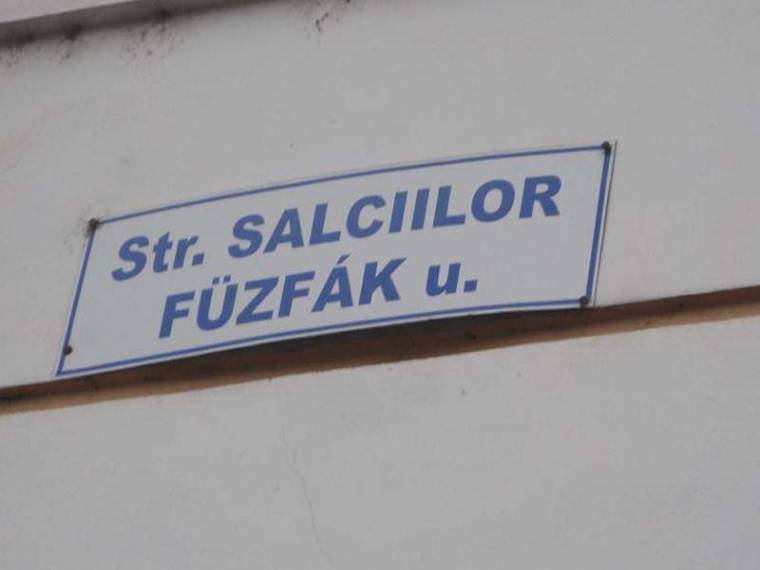 Anyanyelv-használati jogok a Kárpát-medencében (2.)