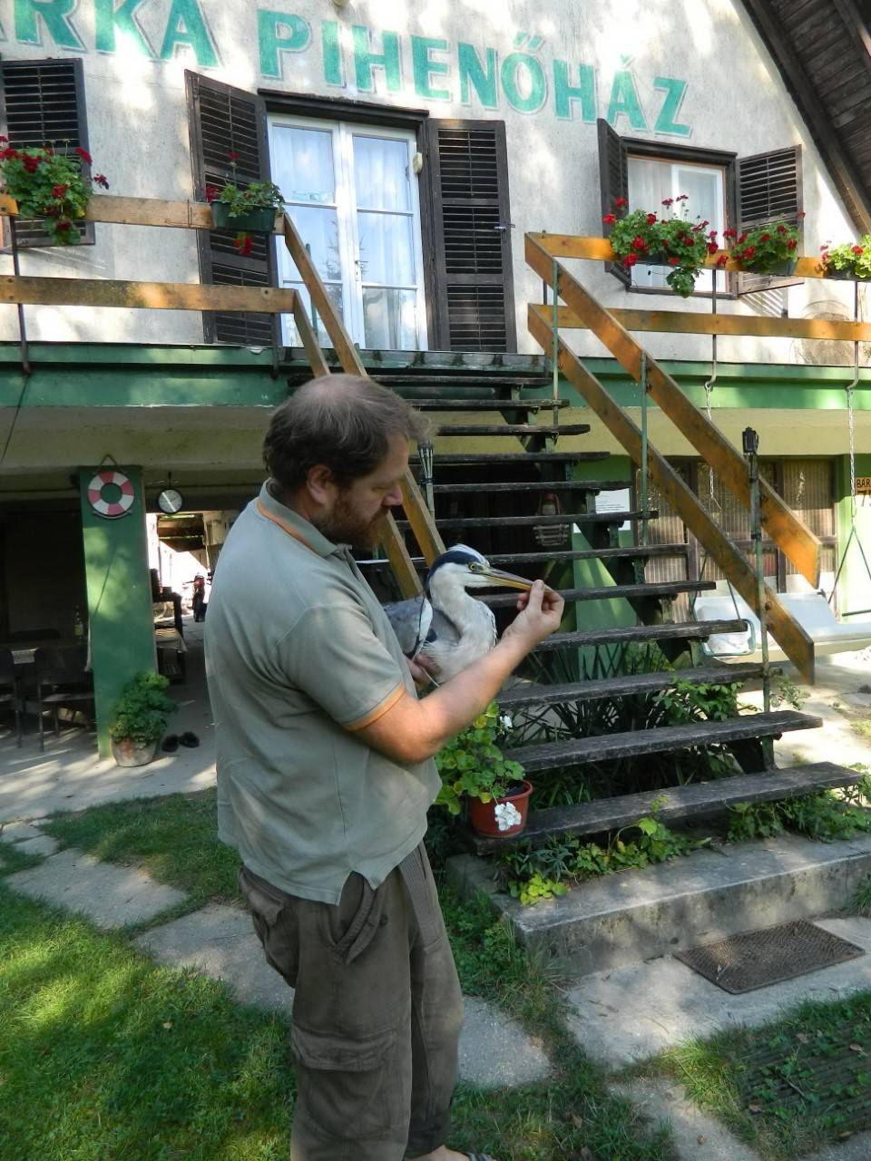 A szakember otthonosan mozog a vízivilág állatfajai között is 