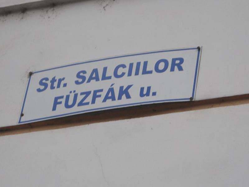 &bullet;  Fotó: Gligor Róbert László