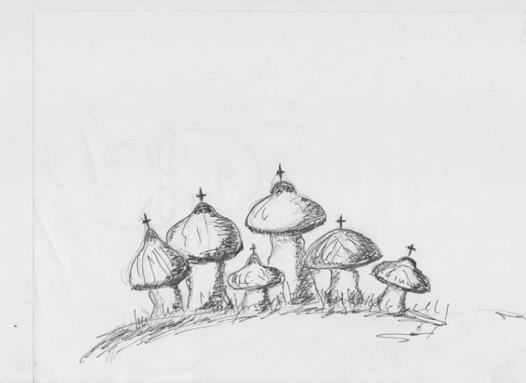 A Székelykő fájdalma