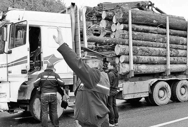 Nyári embargó a faexportra