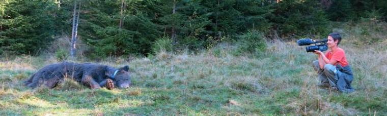 Természetvédelem gyönyörű képekben