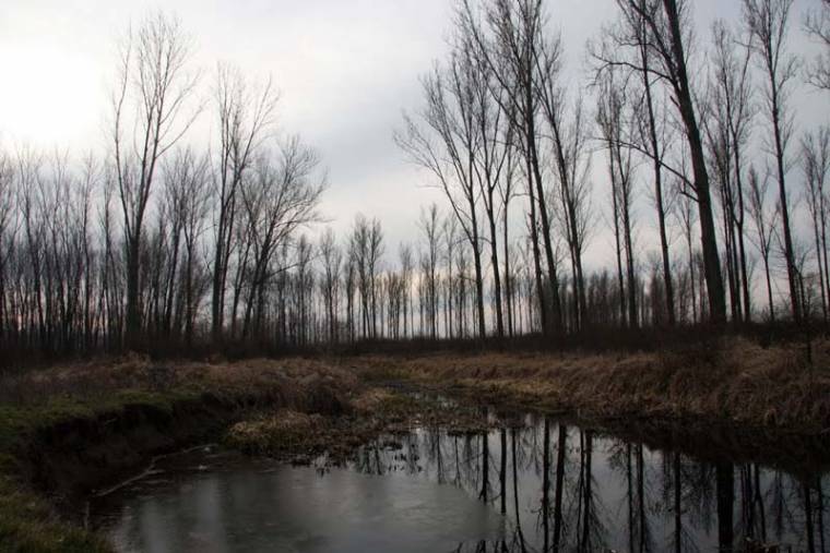 Túr-mente, a védett vadon világa