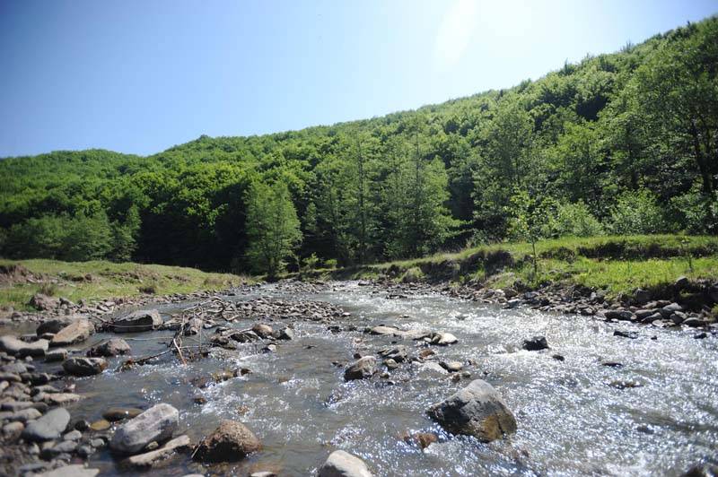 &bullet;  Fotó: Thomas Campean