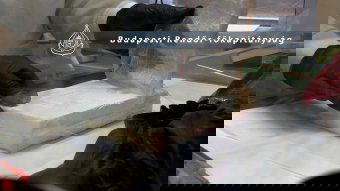 Minden második budapesti lakosnak elegendő, 23 milliárd forint értékű kábítószert foglaltak le Magyarországon