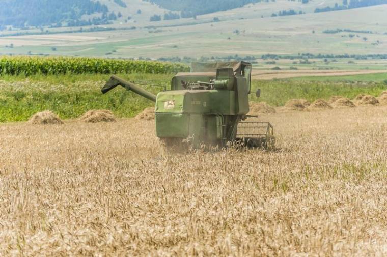 Román agrárium: dobogótól alagsorig