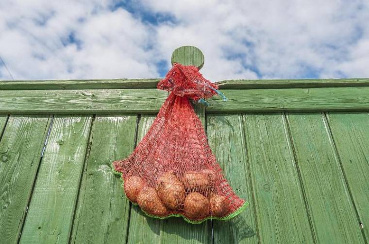 A szomszédban már nem látnak nagy üzletet a pityókában