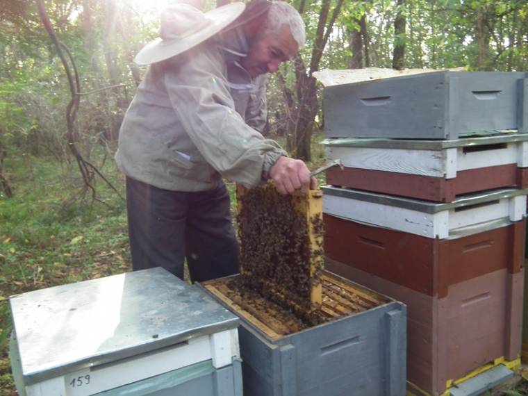 Édes élet, tiltásokkal