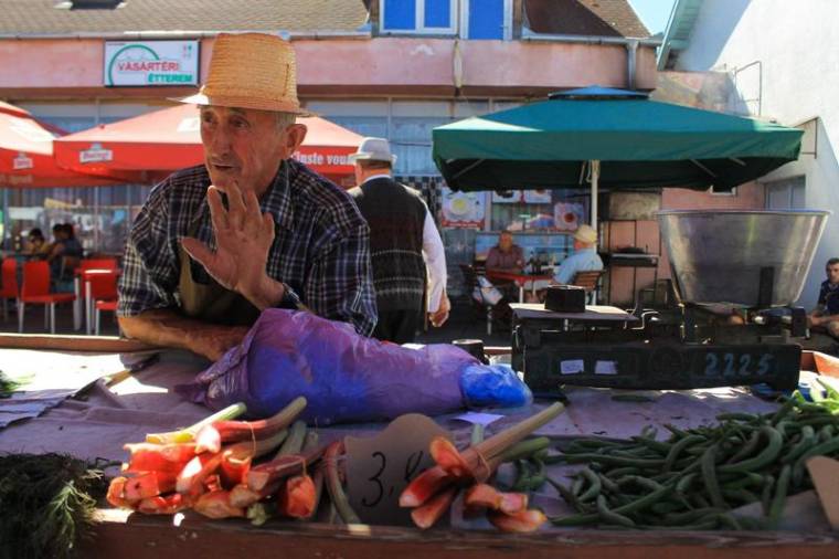 Kényszerből szövetkeznének a gazdák