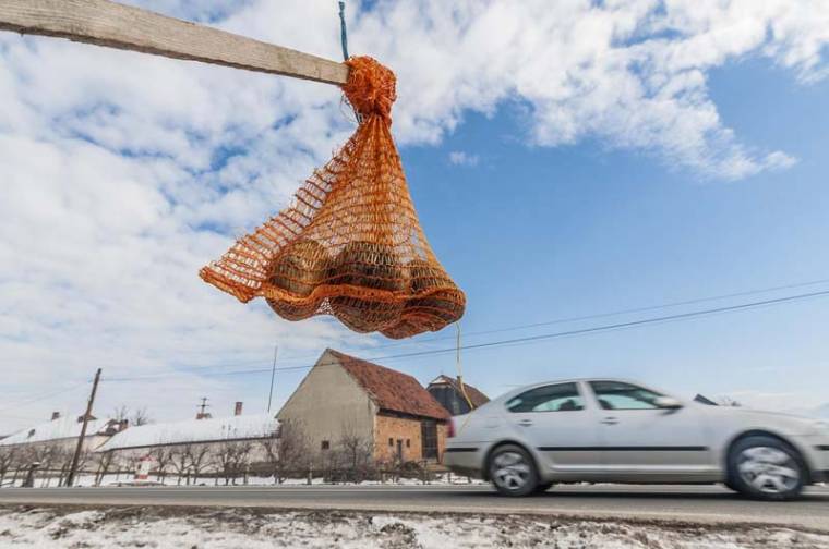 Székelyföldi krumpliválság: csak a szövetkezés tarthat piacon