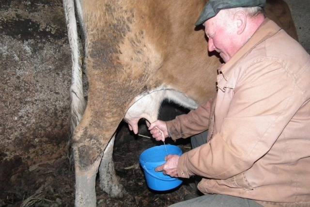 Felzárkózás a minőségi tejhez