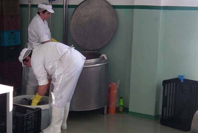 &bullet;  Fotó: Makkay József