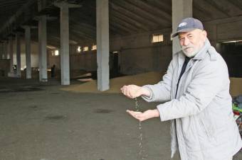 Aki enni ad a madaraknak