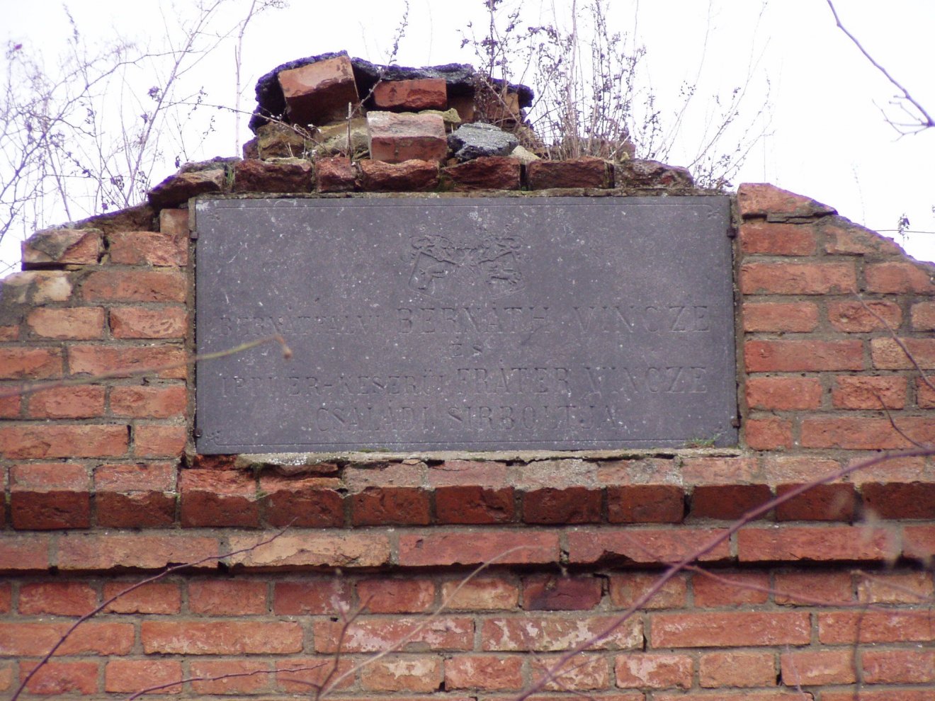 Lepusztult nemesi kripta a Bihar megyei Gálospetriben: a Fráter és a Bernáth család egyik sírboltja •  Fotó: Sütő Éva