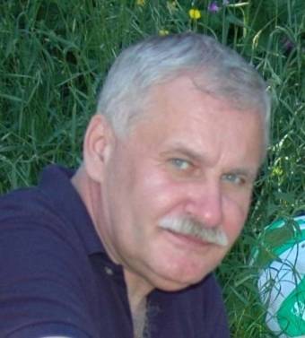 Kínai madaram