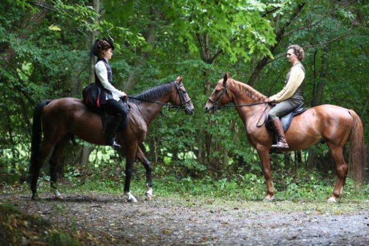 Újra divat a történelem