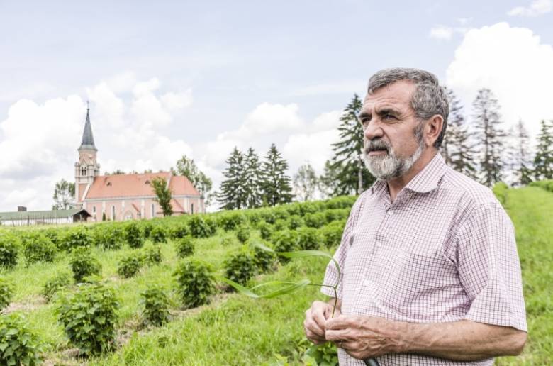 Török Jenő csíkborzsovai ribizlisében. Meglátása szerint meg lehet élni zöldség- és gyümölcstermesztésből •  Fotó: Gecse Noémi