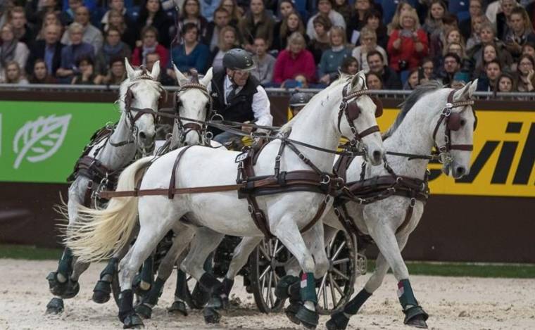 Világkupa flamencóval és lóidomítással