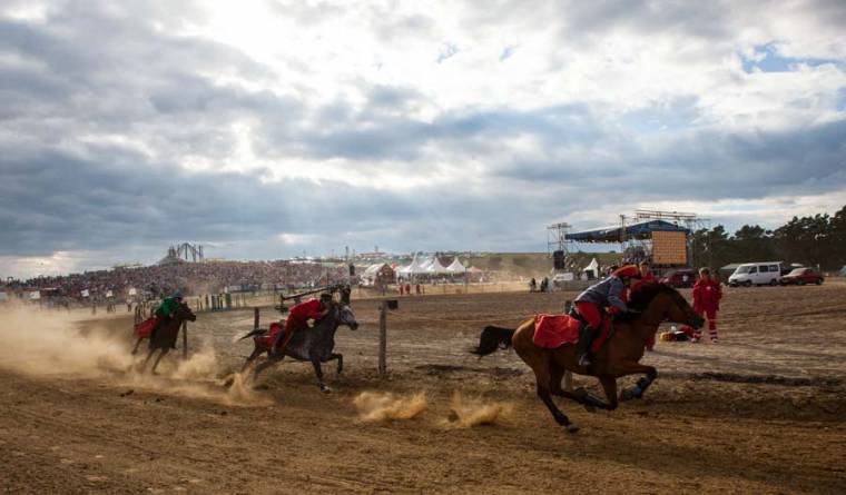 Ló és „környéke”