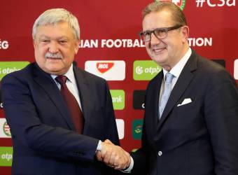 Ki is George Leekens?