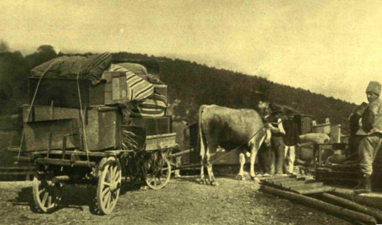 A Nagy háború szégyene