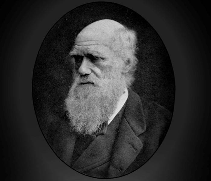 Mióta állat az ember?