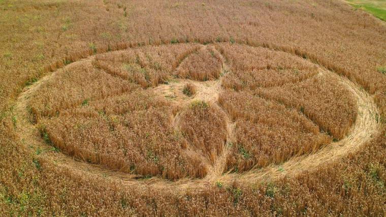 Ufókutatás: nem vagyunk egyedül?