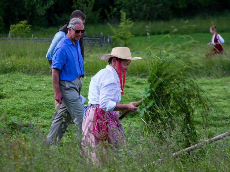 Díszdoktorrá avatja Károly herceget a kolozsvári egyetem