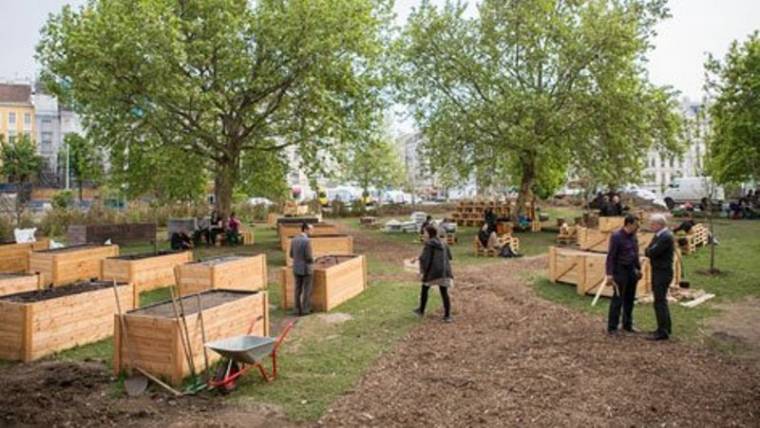 Hatalmas közösségi kert Bécsben