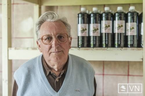 A fekete ribiszke gyógyhatásairól