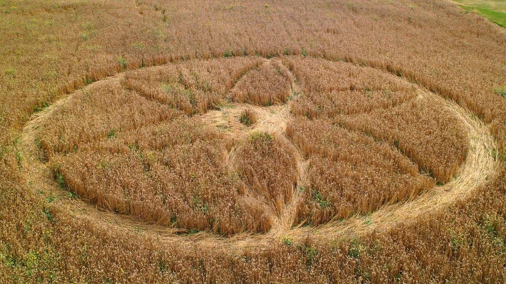 Ma már nem kérdés, hogy a gabonakörök nem ufók landolásának eredményei, hanem az emberi tréfáé &bullet;  Fotó: Reuters.com
