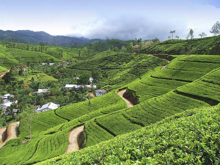 Másik könnycsepp India arcán