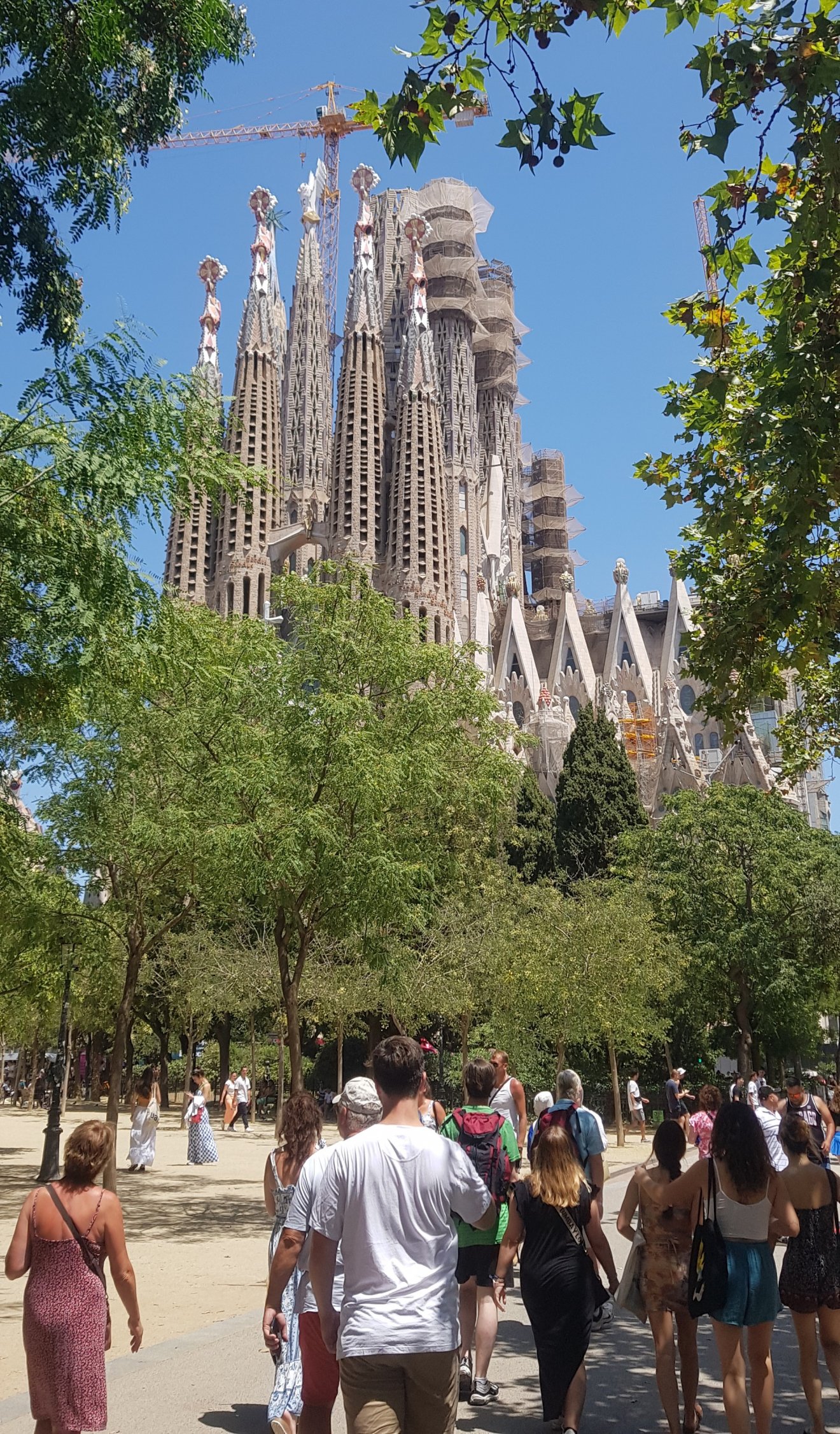 A túlturizmus jelensége, valamint az arra adott helyi reakció legkorábban Barcelonában jelentkezett, már a 2010-es évek elején •  Fotó: Makkay József