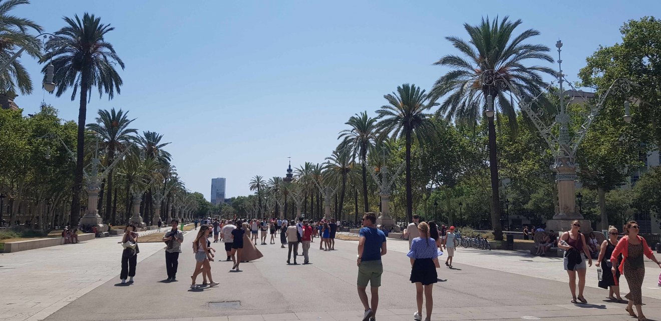 A pálmafák övezte barcelonai sétány igazi mediterrán hangulatot áraszt •  Fotó: Makkay József