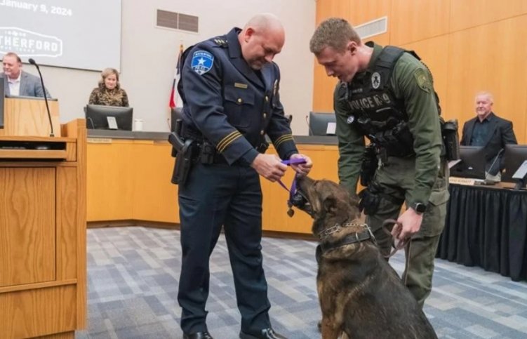 Jack nyakába akasztják a George Washington képmásával ellátott sebesülési érdemérmet •  Fotó: Police.hu
