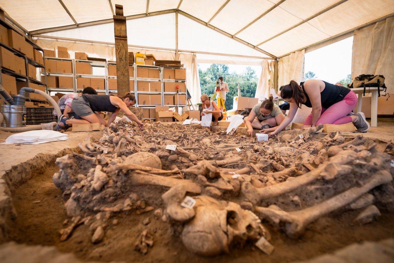 Feltárási munka a IV. tömegsírnál. A feltárás után a csontokat a Mohácsi Nemzeti Emlékhelyen megépülő kápolna kriptájában helyezik majd méltó nyugalomra • Fotó: Kovács-Jerney Ádám/Szegedi Tudományegyetem