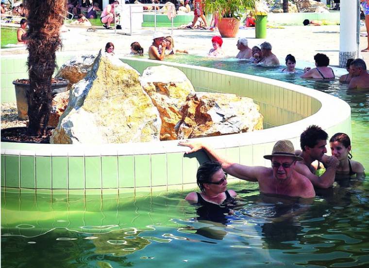 Tölgy, só, hévíz, paradicsom