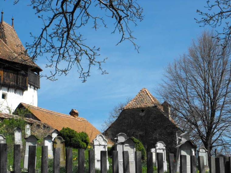 A Királyföld megújuló élete