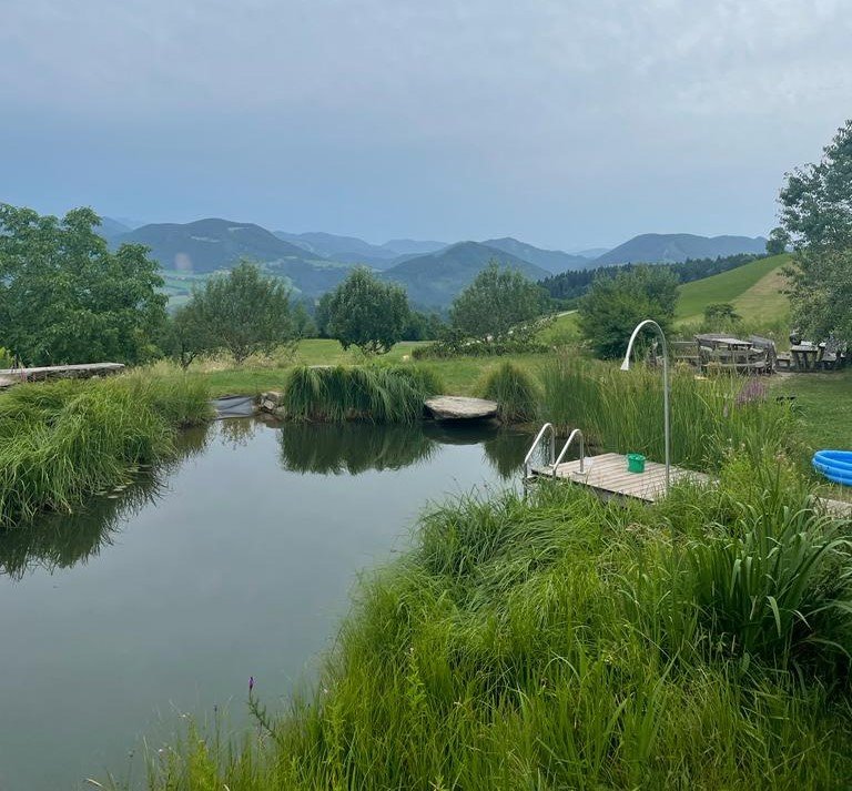 A farmon kiépített mesterséges tó a fürdőzőket várja •  Fotó: Makkay József