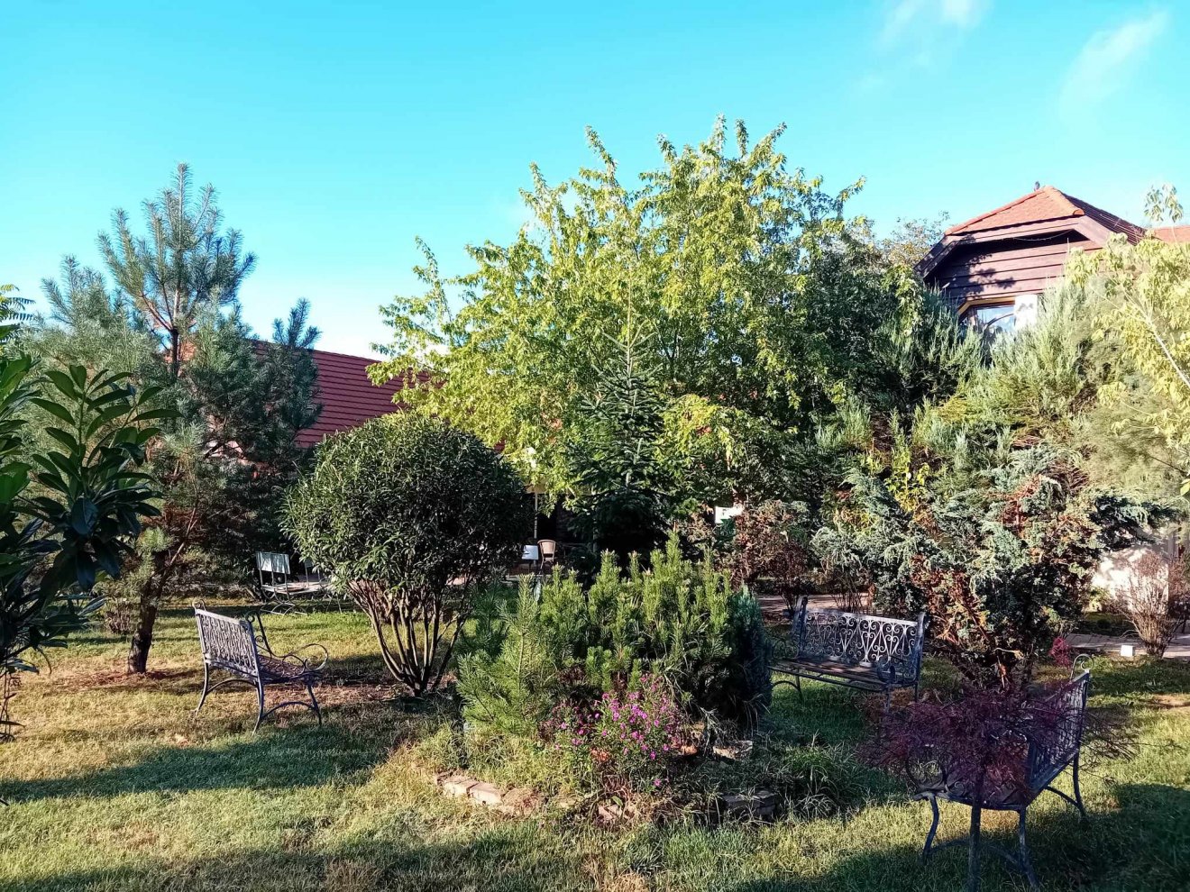 meander panzió kérő