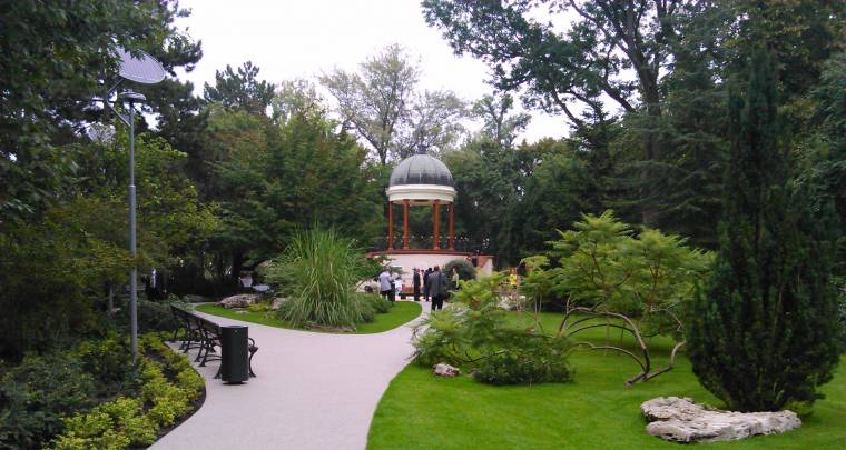 Sokasodó magyar szoboradósságok Marosvásárhelyen