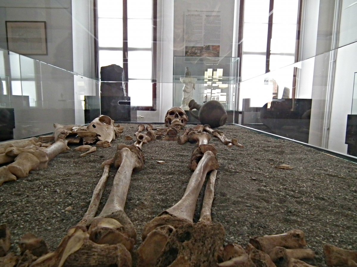 A régészek a feltárt leletek 30 százalékát már feldolgozták, de nyárra tovább bővül a múzeum kínálata &bullet;  Fotó: Kádár Hanga