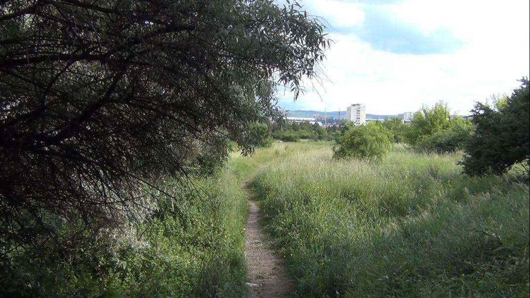 Parlagon. A szállításügyi minisztérium tulajdonában lévő kolozsvári Vasutas Park évek óta gondozatlan &bullet;  Fotó: Hevele Lili